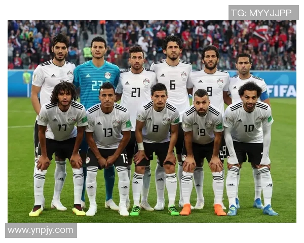 饿罗斯与埃及精彩对决全场录像回放尽享足球盛宴