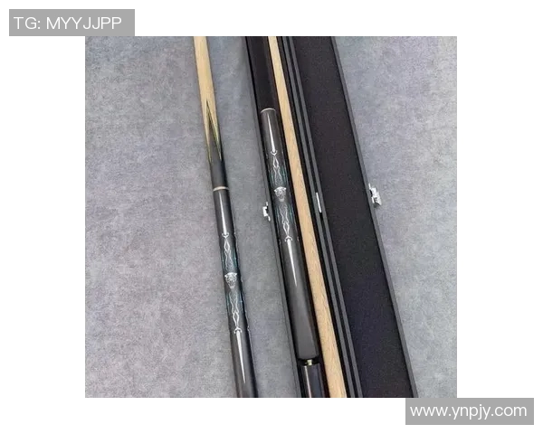 探索野豹台球杆官网发现高品质台球装备与专业技巧分享