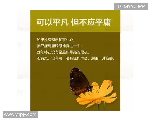 苏伟的奋斗历程与人生哲学探讨:从平凡到卓越的心路历程 苏伟的奋斗历程与人生哲学探讨:从平凡到卓越的心路历程