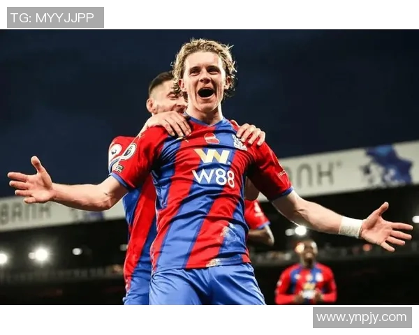 水晶宫对阵利物浦精彩直播全程回顾与赛后分析